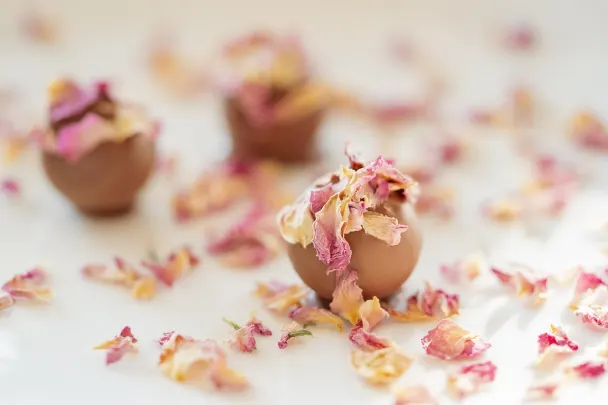 Casino Generation VIP App Android/iOS